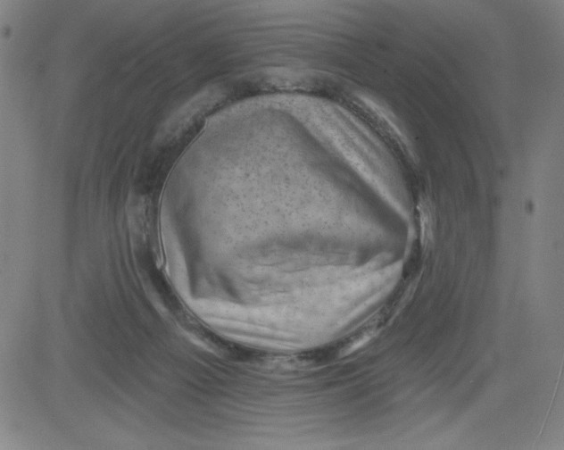 X0000081480121200702021907