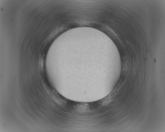 X0000081480124200702021907