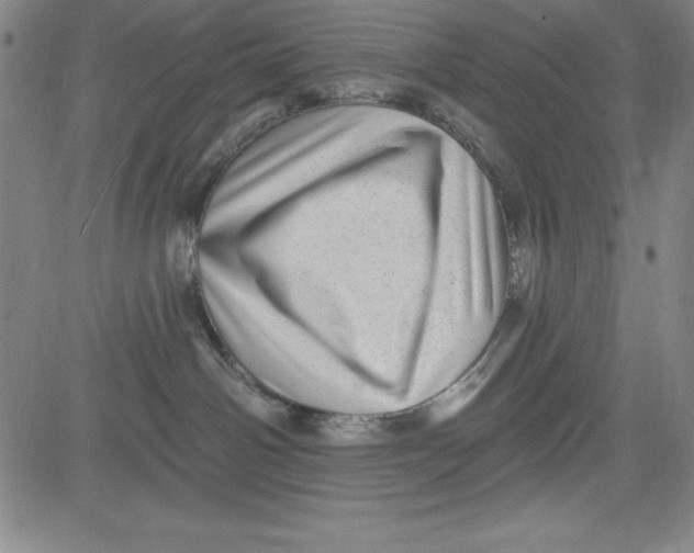 X0000081480142200702021907