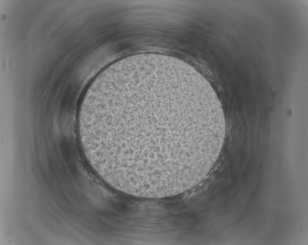 X0000081480146200702021906