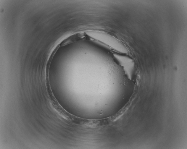 X0000081480148200702021906