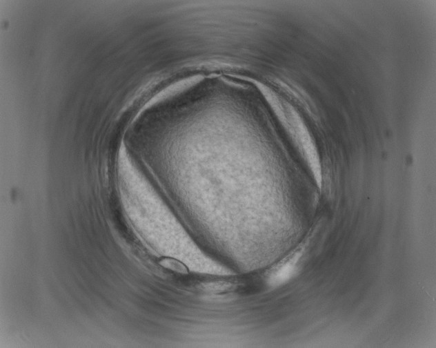 X0000081480158200702021906