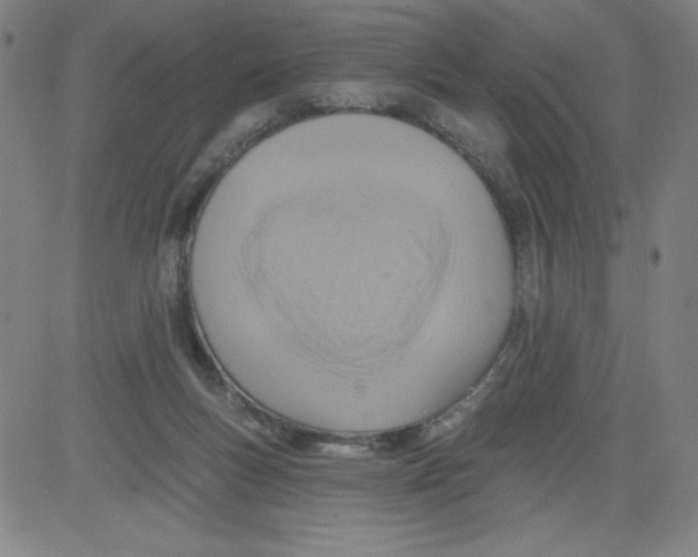 X0000081480167200702021907