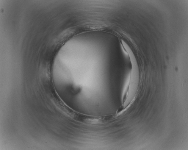 X0000081480170200702021907