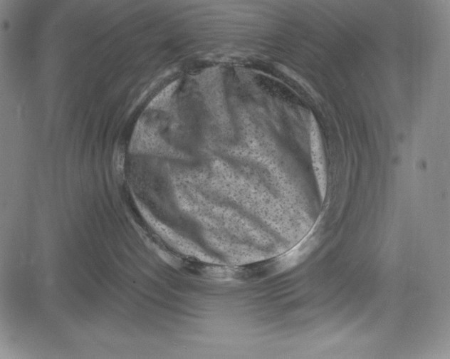 X0000081480192200702021907