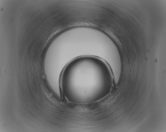 X0000081480207200702021906
