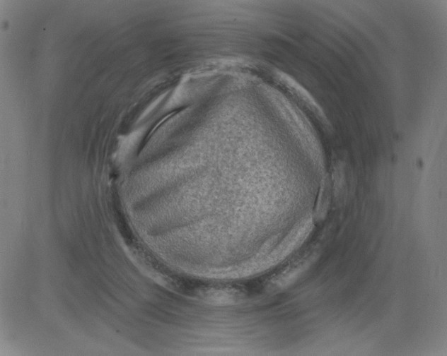 X0000081480209200702021906