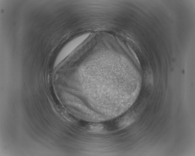 X0000081480214200702021906
