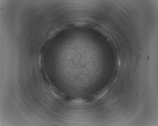 X0000081480219200702021906
