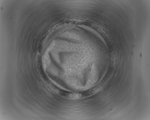 X0000081480225200702021906