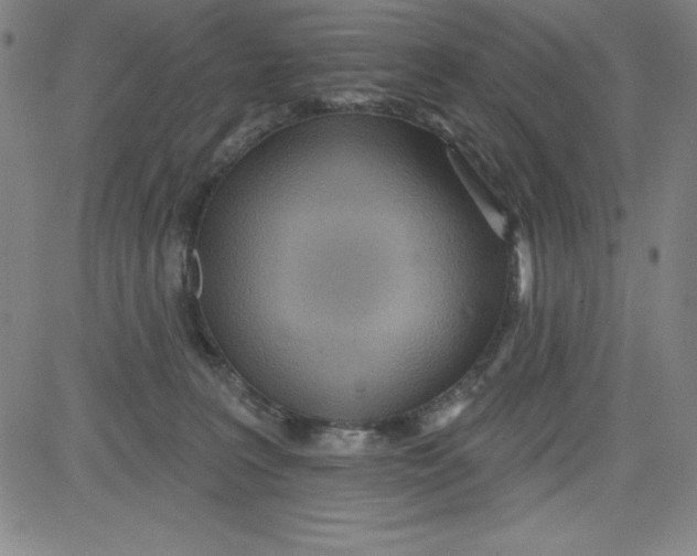 X0000081480227200702021906