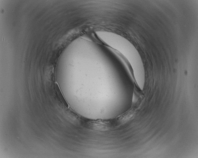 X0000081480229200702021906