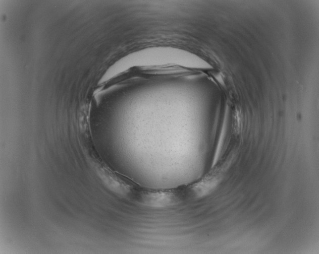 X0000081480237200702021905
