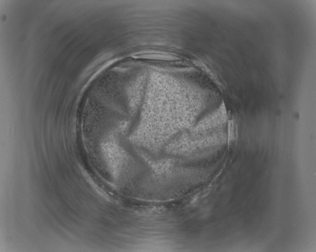 X0000081480243200702021905