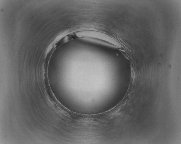 X0000081480244200702021905