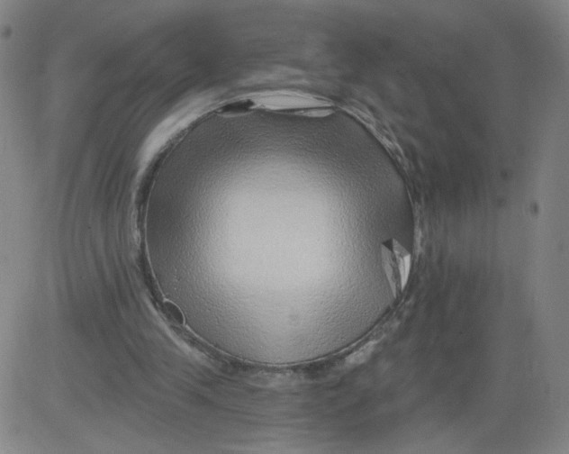 X0000081480245200702021905