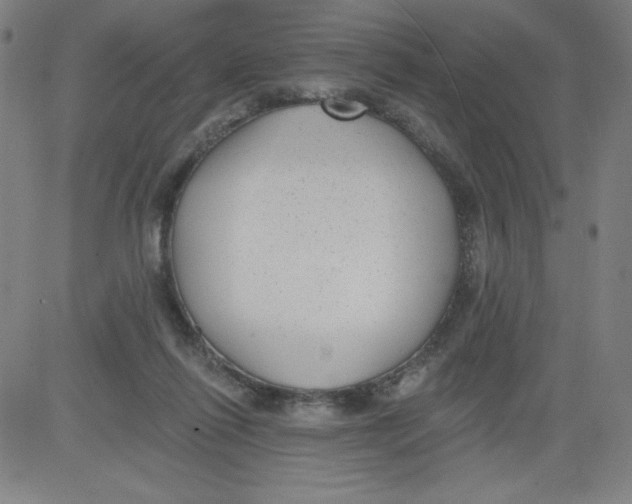 X0000081480262200702021905