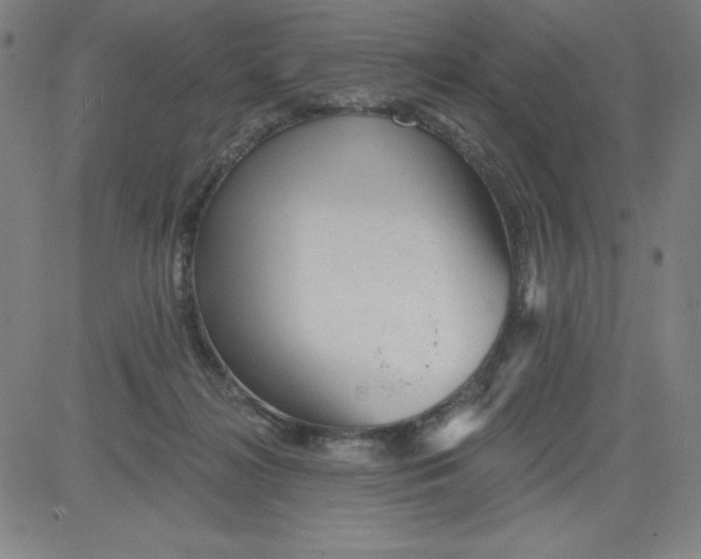X0000081480268200702021905