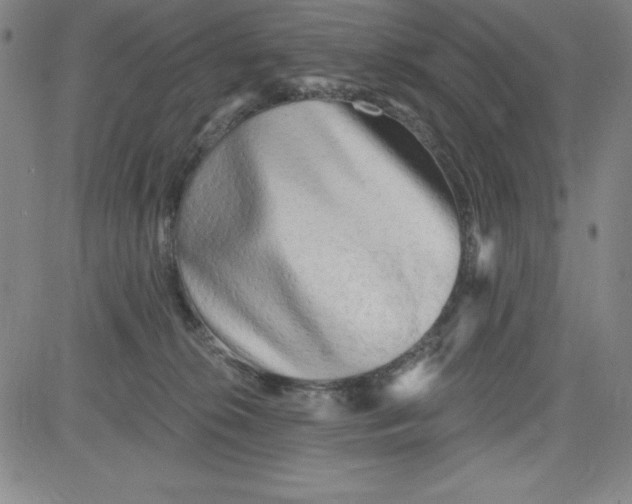 X0000081480276200702021905