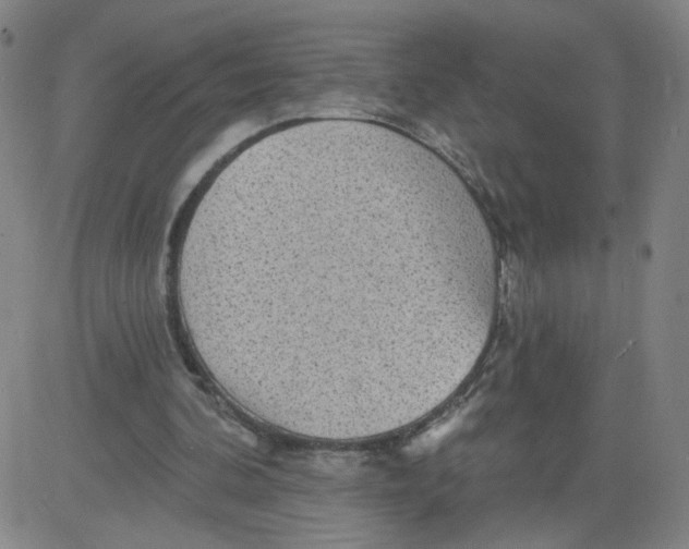 X0000081480292200702021905