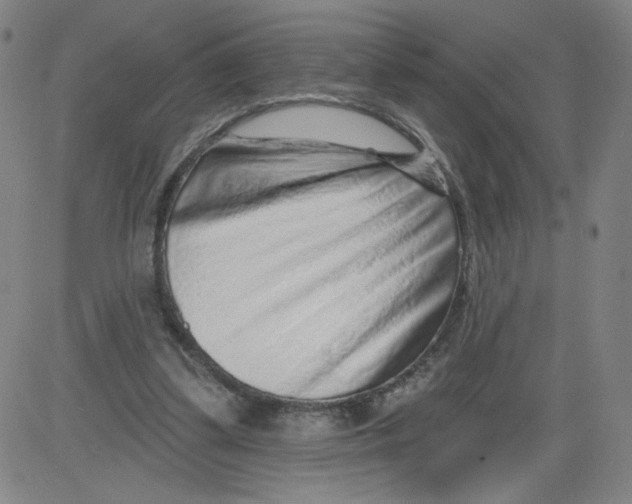 X0000081480299200702021904