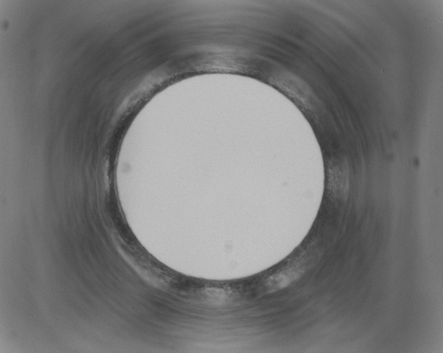 X0000081480302200702021904