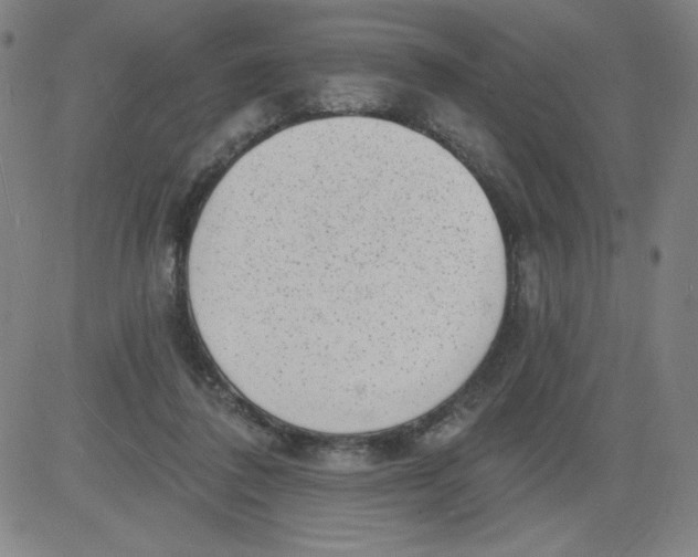 X0000081480308200702021904