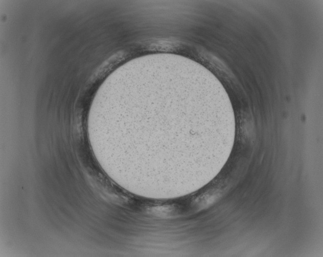 X0000081480312200702021904