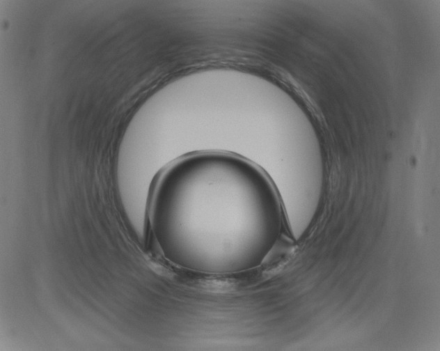 X0000081480313200702021904