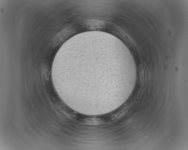 X0000081480316200702021904