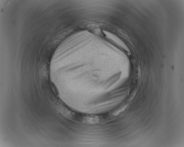 X0000081480317200702021904