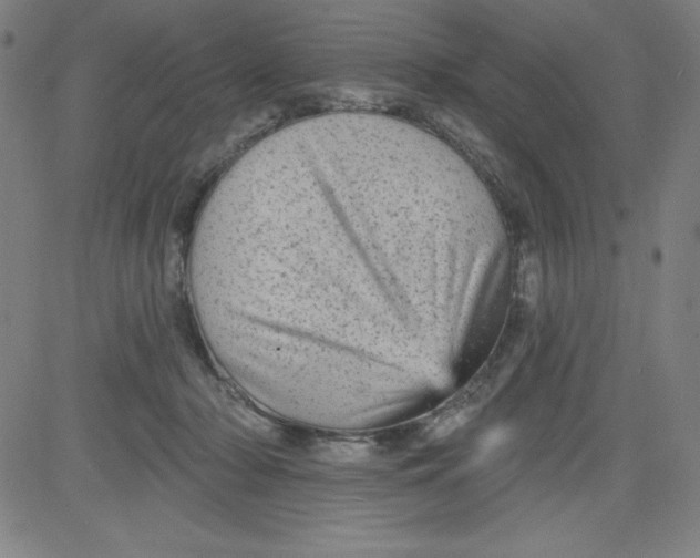 X0000081480318200702021904