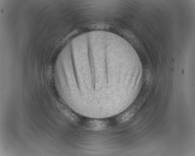 X0000081480326200702021904