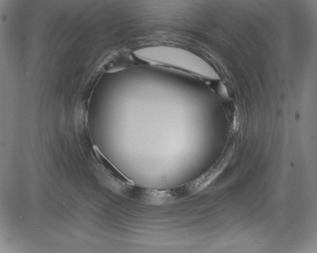 X0000081480333200702021904