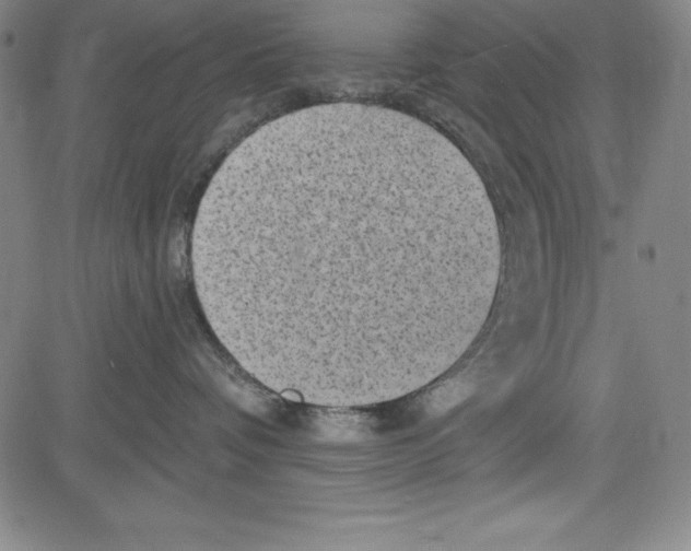 X0000081480336200702021904