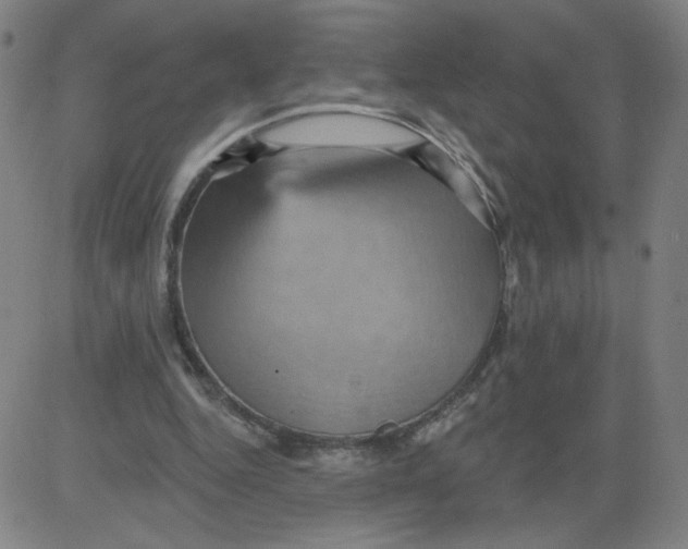 X0000081480344200702021903