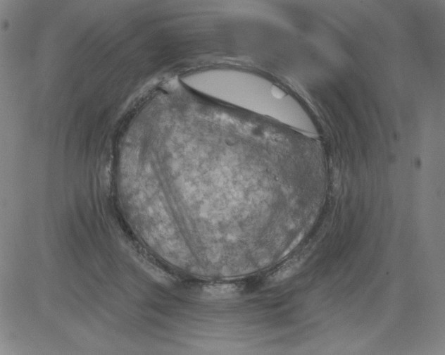 X0000081480357200702021903