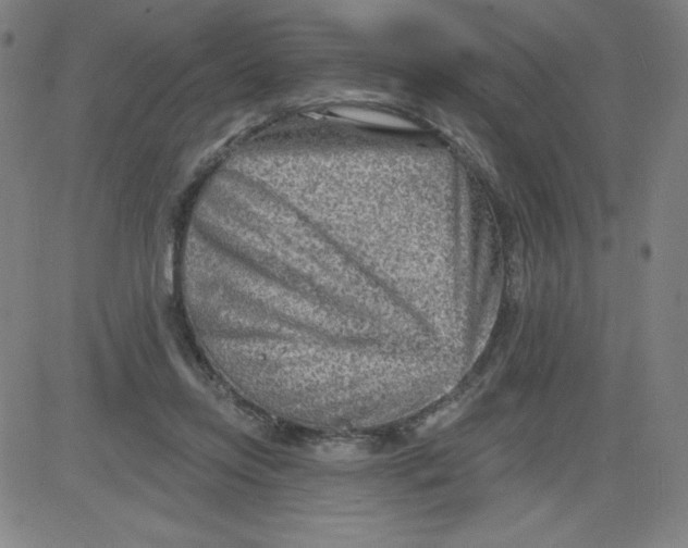 X0000081480358200702021903