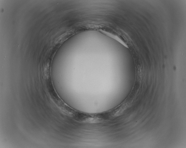 X0000081480364200702021903