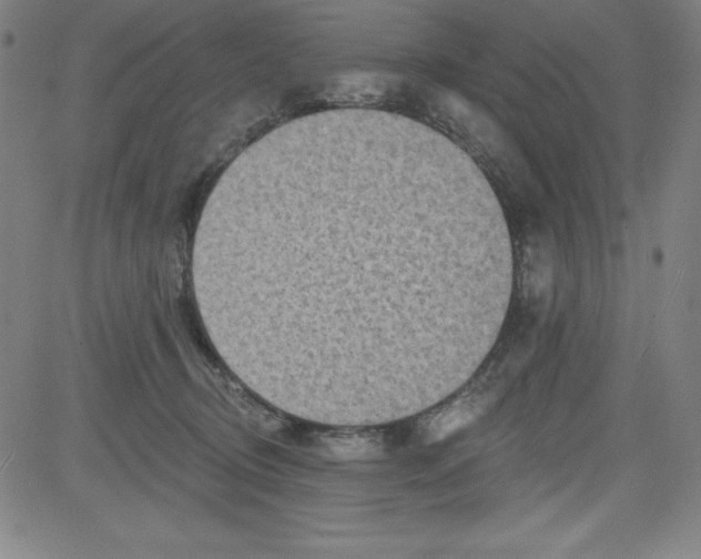 X0000081480370200702021904