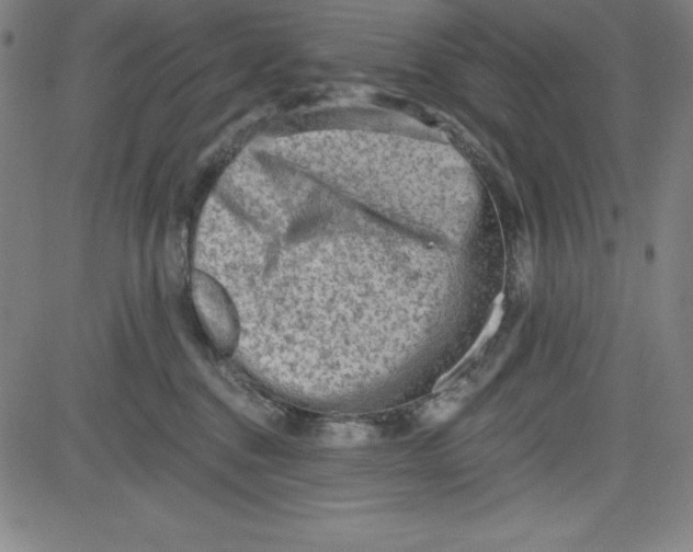 X0000081480376200702021904
