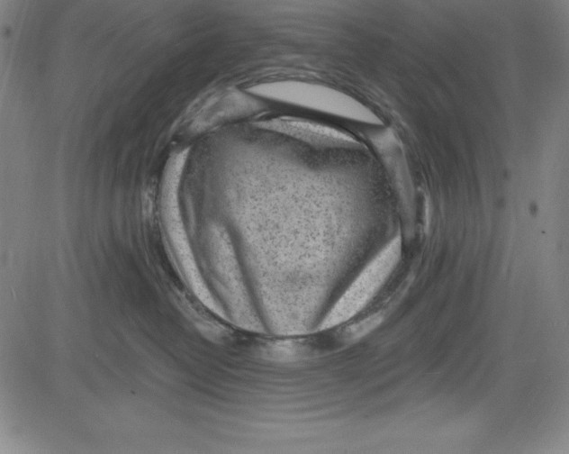 X0000081480382200702021904