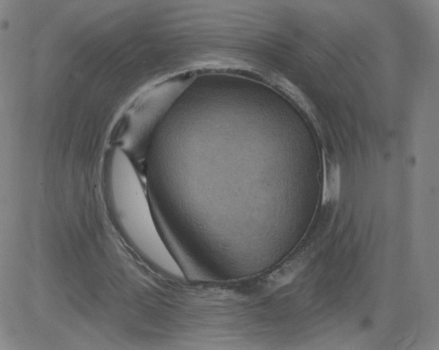 X0000081480387200702021903