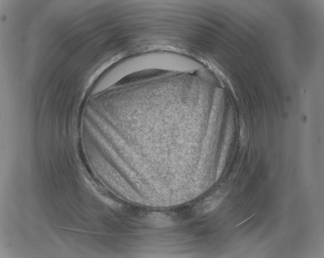 X0000081480390200702021903