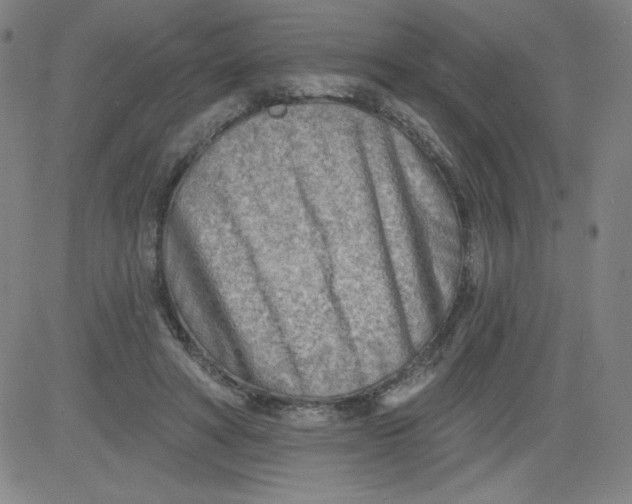 X0000081480402200702021903