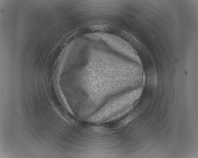 X0000081480408200702021903