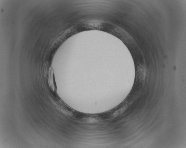 X0000081480412200702021903