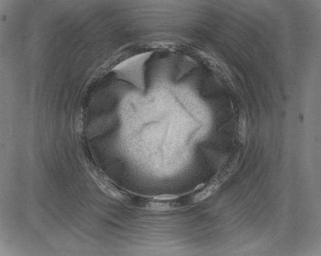 X0000081480413200702021903