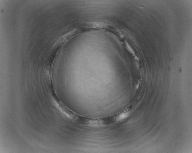 X0000081480415200702021903