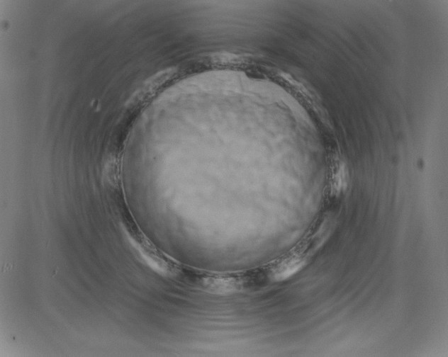 X0000081480419200702021902
